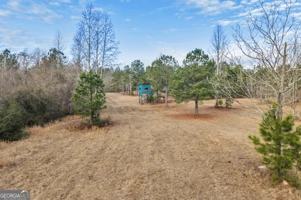 $949,000 | 241 Foskey Cemetery Road, Adrian, GA 31002