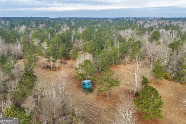 $949,000 | 241 Foskey Cemetery Road, Adrian, GA 31002