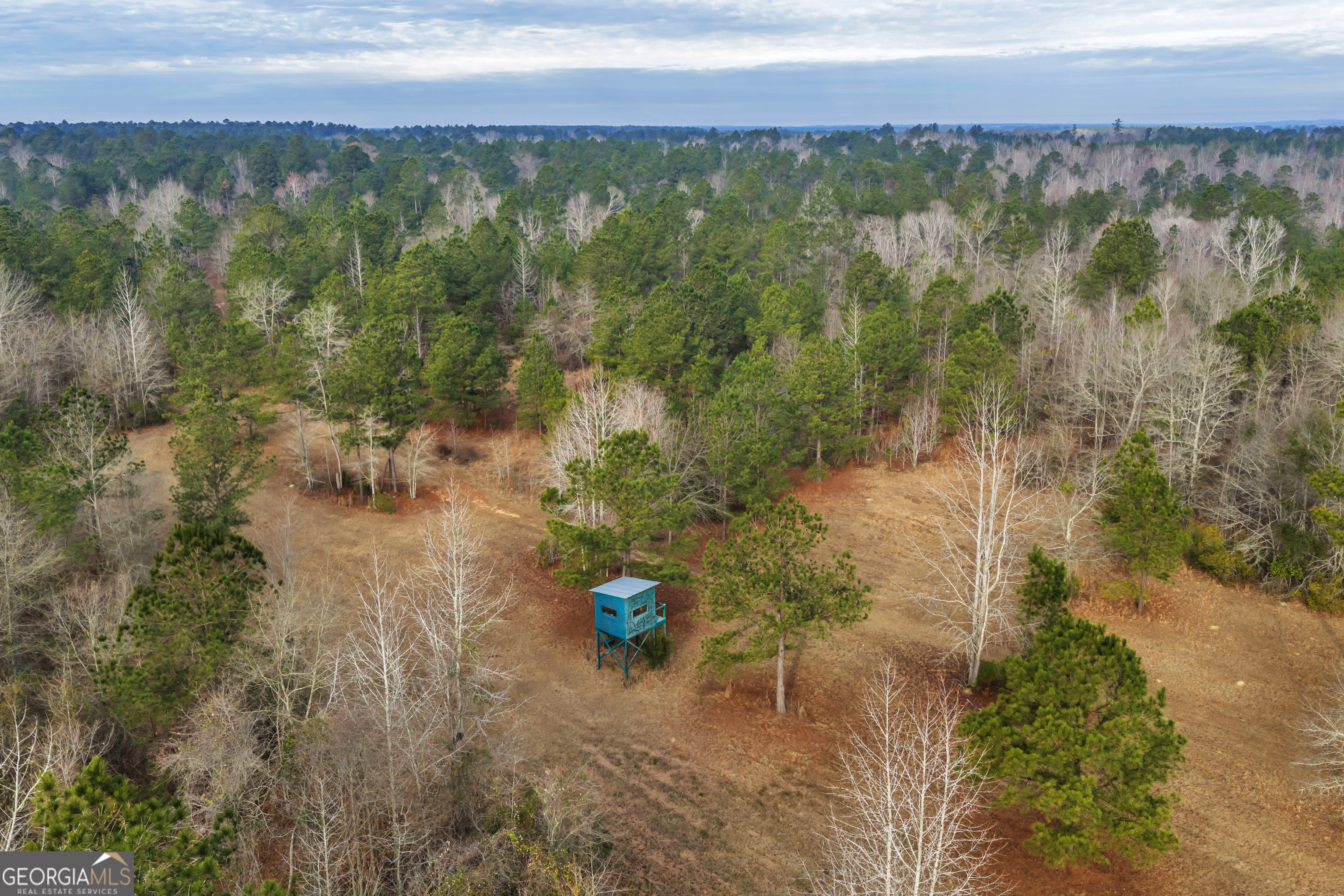241 Foskey Cemetery Road Adrian, GA 31002 - Photo 73 of 95