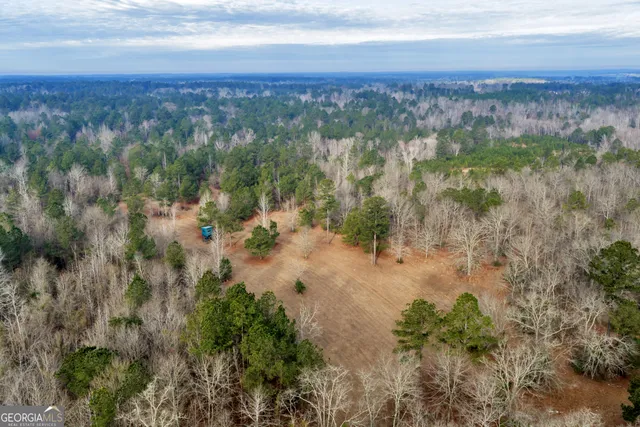 $949,000 | 241 Foskey Cemetery Road, Adrian, GA 31002