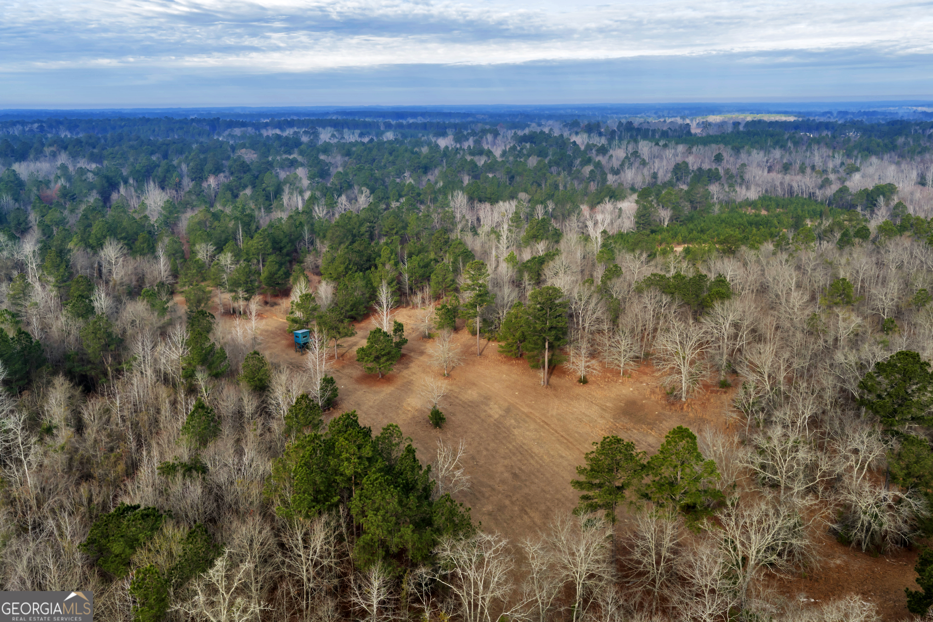241 Foskey Cemetery Road Adrian, GA 31002 - Photo 74 of 95
