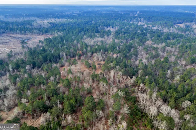 $949,000 | 241 Foskey Cemetery Road, Adrian, GA 31002