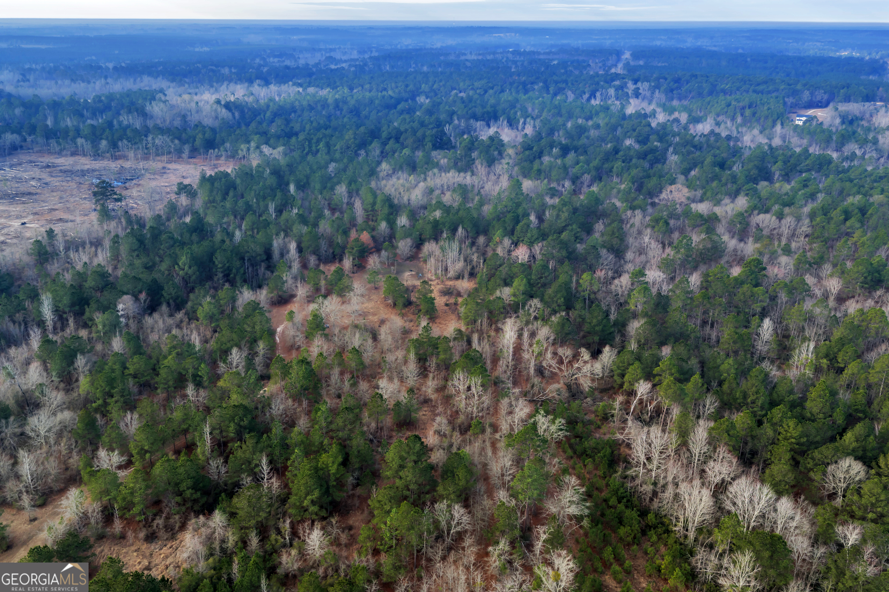 241 Foskey Cemetery Road Adrian, GA 31002 - Photo 76 of 95