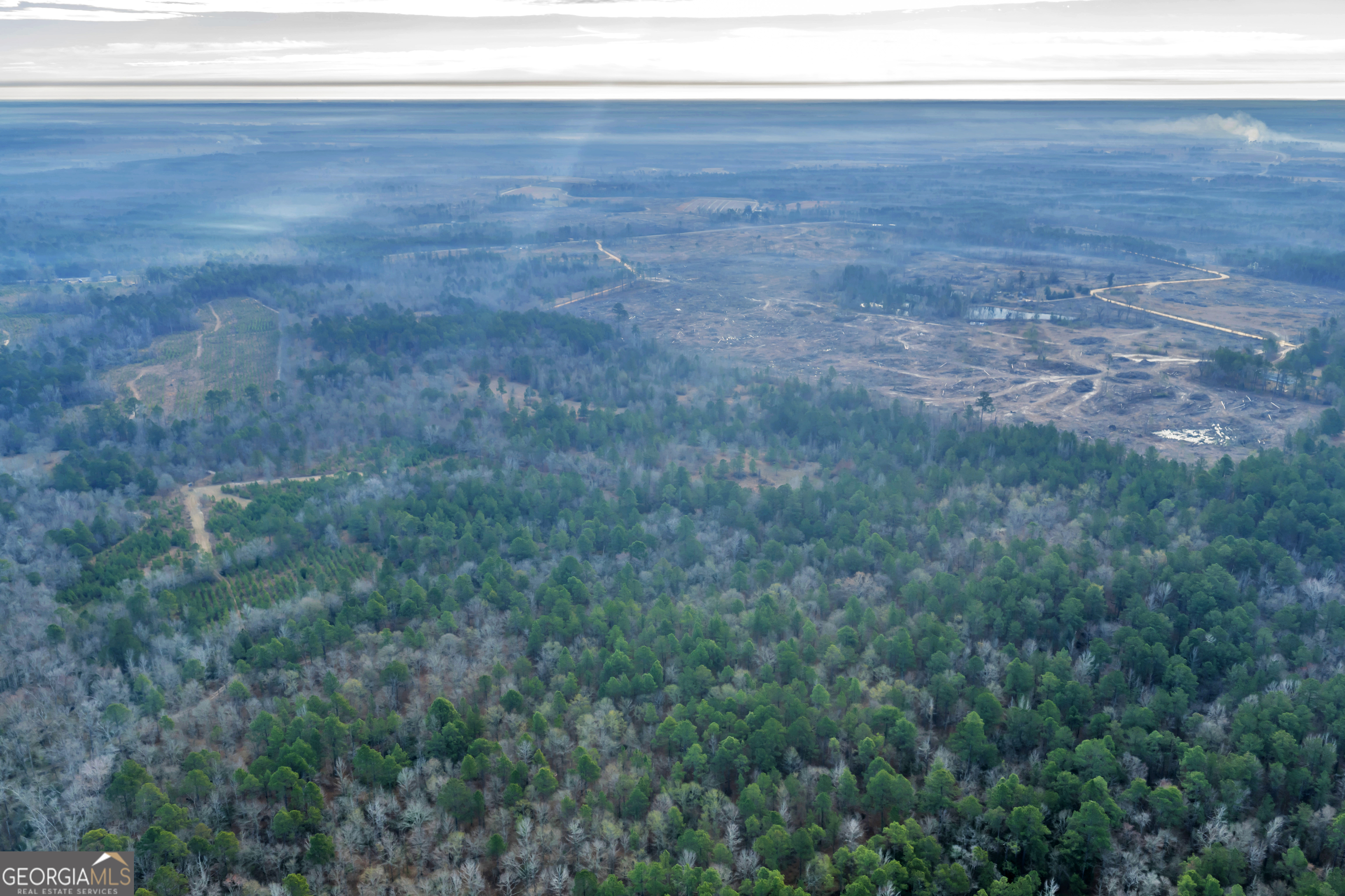 241 Foskey Cemetery Road Adrian, GA 31002 - Photo 77 of 95