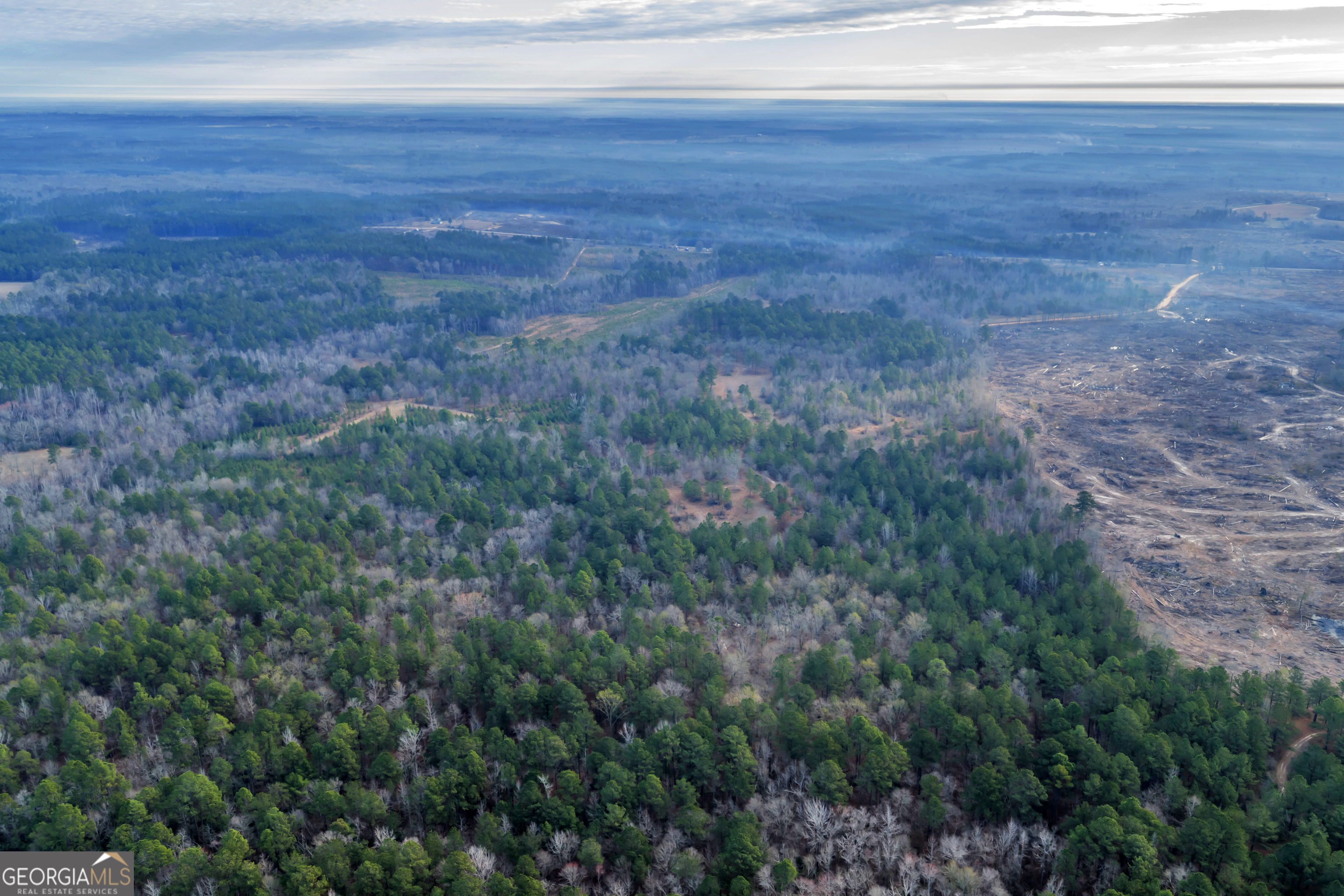 241 Foskey Cemetery Road Adrian, GA 31002 - Photo 78 of 95