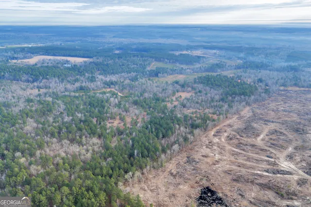 $949,000 | 241 Foskey Cemetery Road, Adrian, GA 31002