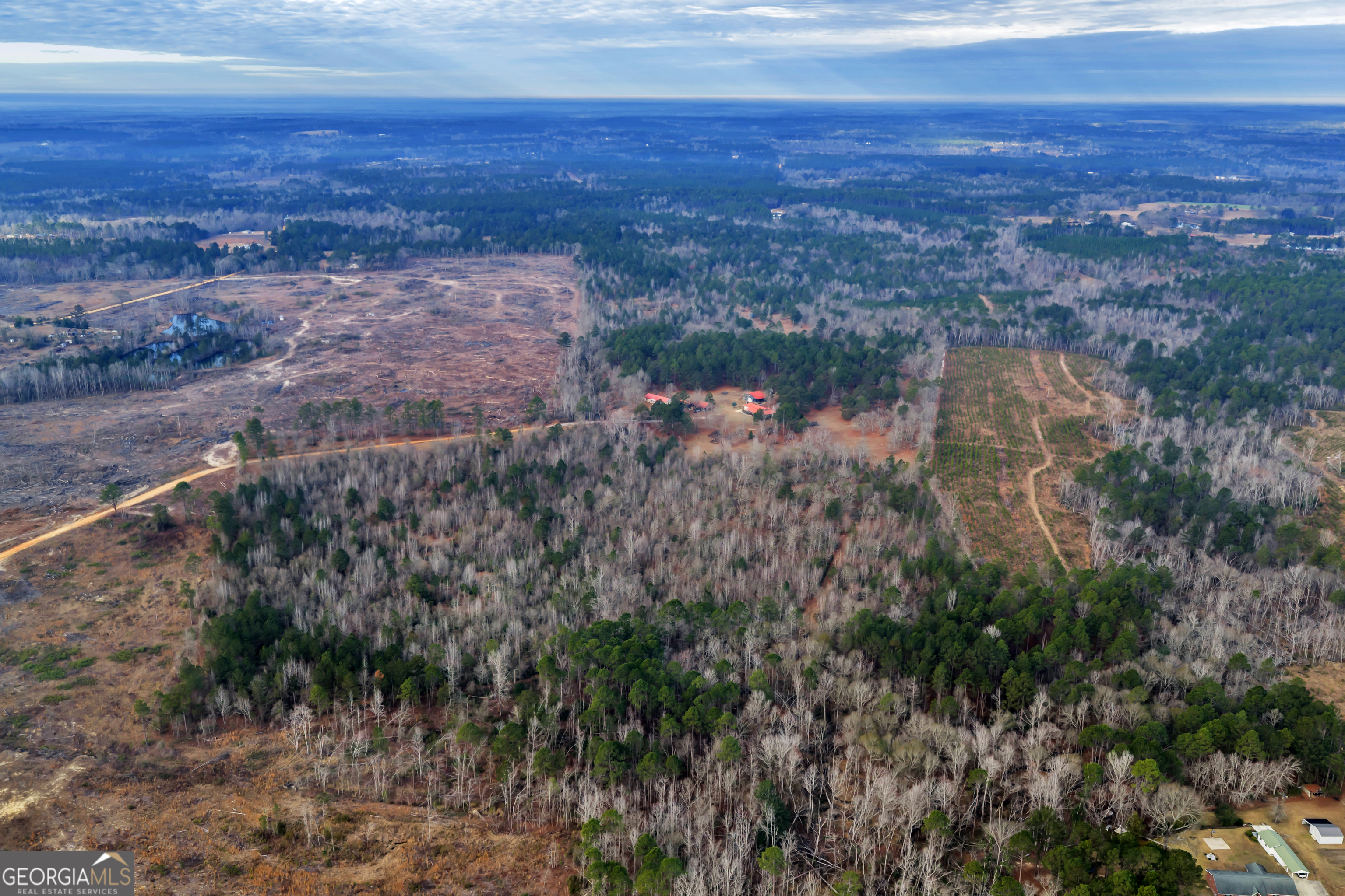 241 Foskey Cemetery Road Adrian, GA 31002 - Photo 84 of 95