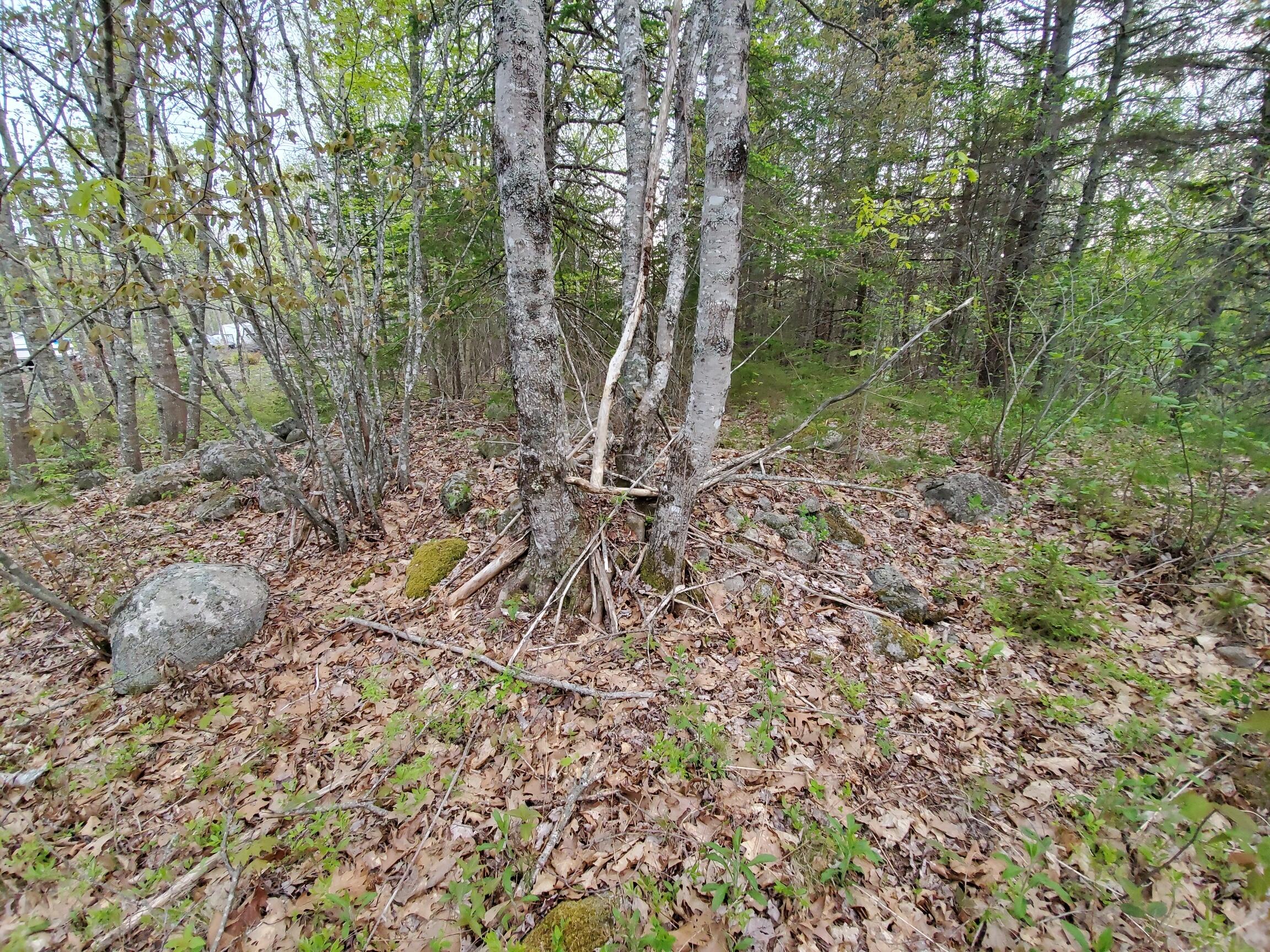 2 Robbins Point Road Gouldsboro, ME 04607 - Photo 10 of 31 interior east side