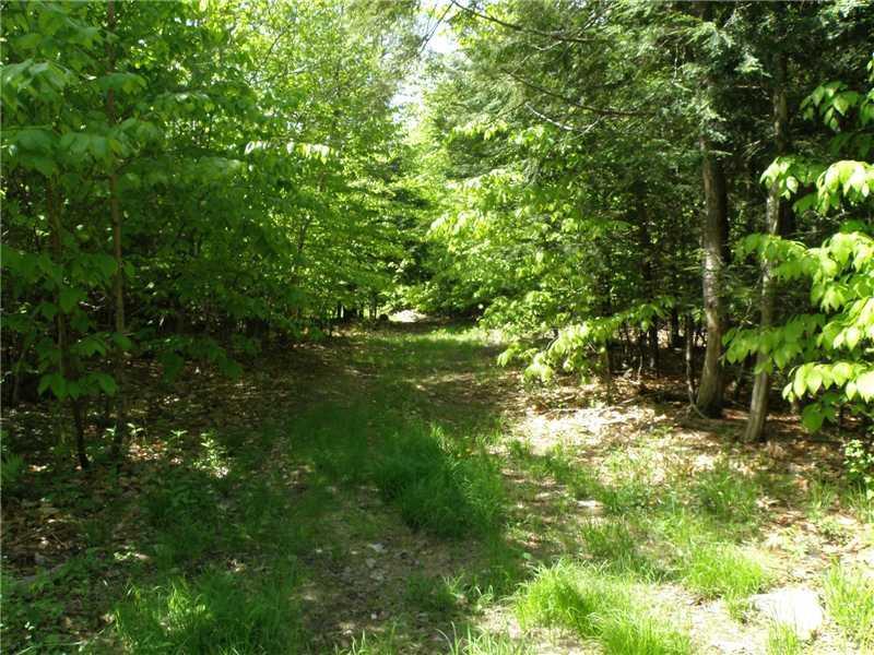 0 Myra Road Greenbush, ME 04418 - Photo 8 of 10 Land/Lot.