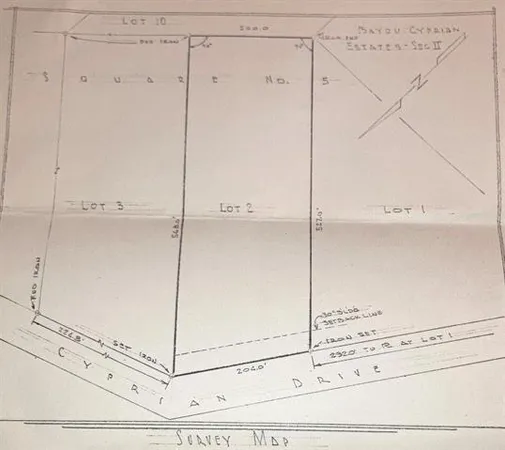$50,000 | 29244 Cyprian Drive, Lacombe, LA 70445