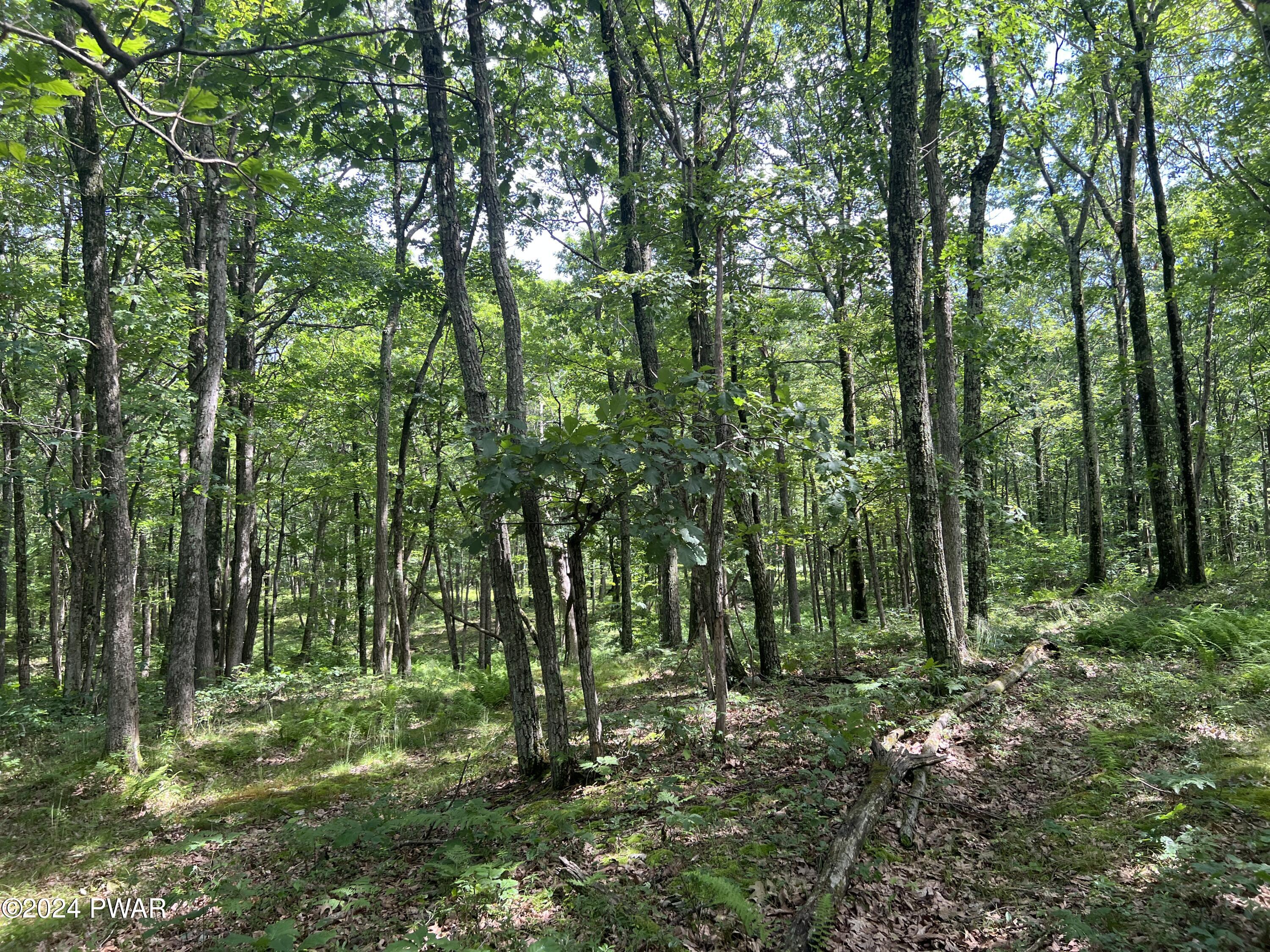 Bloss Road Canadensis, PA 18325 - Photo 10 of 21 Flat lot