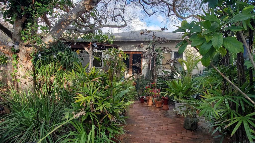 a view of a garden with plants