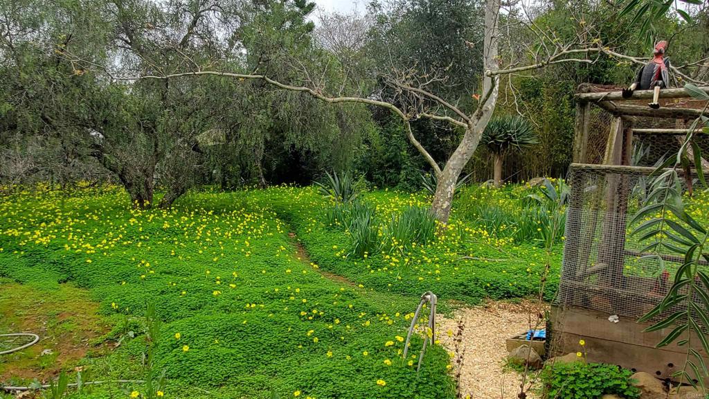 18525 Aliso Canyon Road Rancho Santa Fe, CA 92091 - Photo 4 of 16 a view of a garden with plants