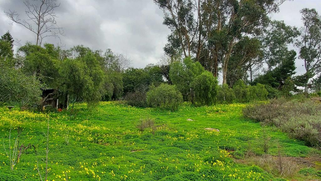 18525 Aliso Canyon Road Rancho Santa Fe, CA 92091 - Photo 5 of 16 a view of a lush green space