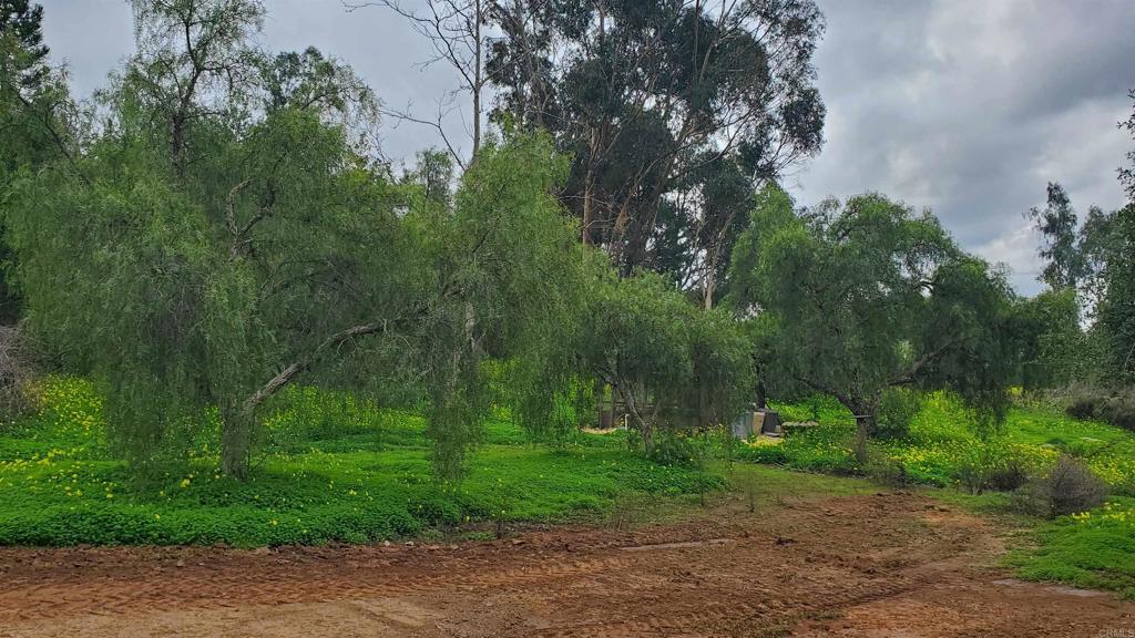 18525 Aliso Canyon Road Rancho Santa Fe, CA 92091 - Photo 7 of 16 a view of a park