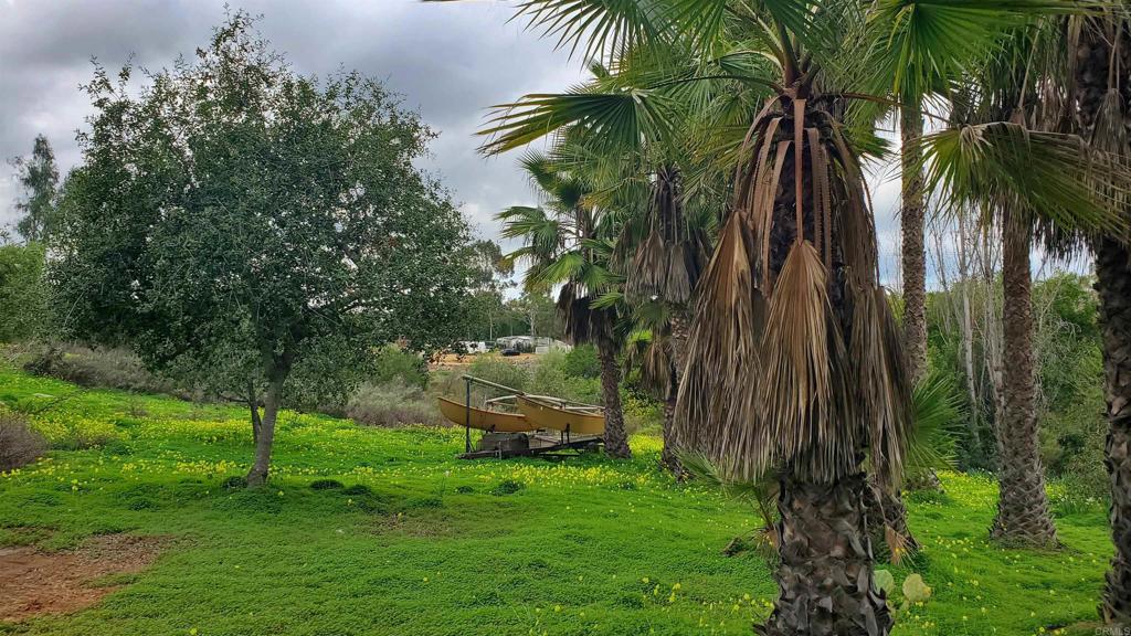 18525 Aliso Canyon Road Rancho Santa Fe, CA 92091 - Photo 9 of 16 a backyard of a house with a garden and outdoor seating