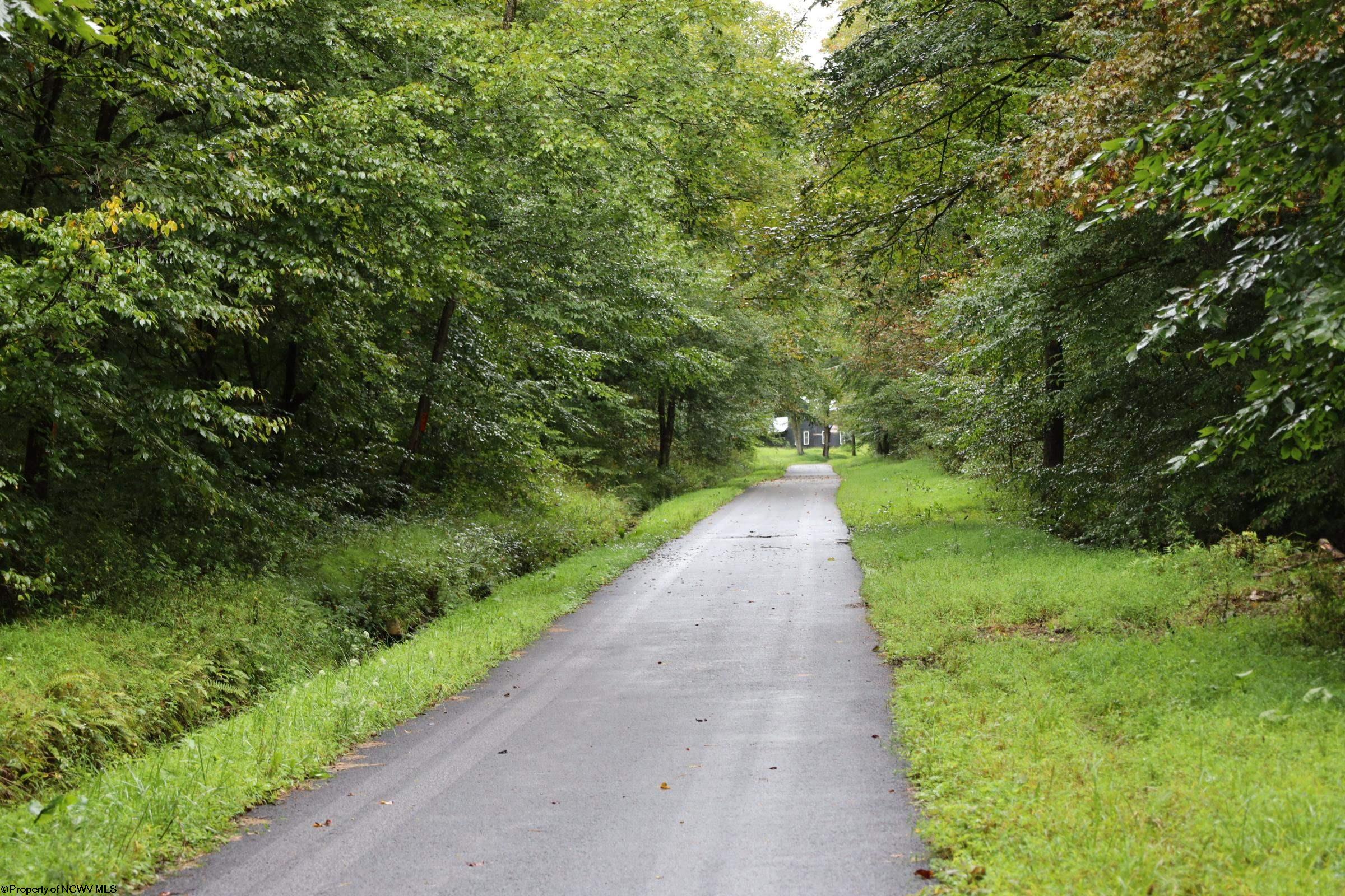 Tbd Bull Run Road Parsons, WV 26287 - Photo 9 of 21 Gallery Image 9