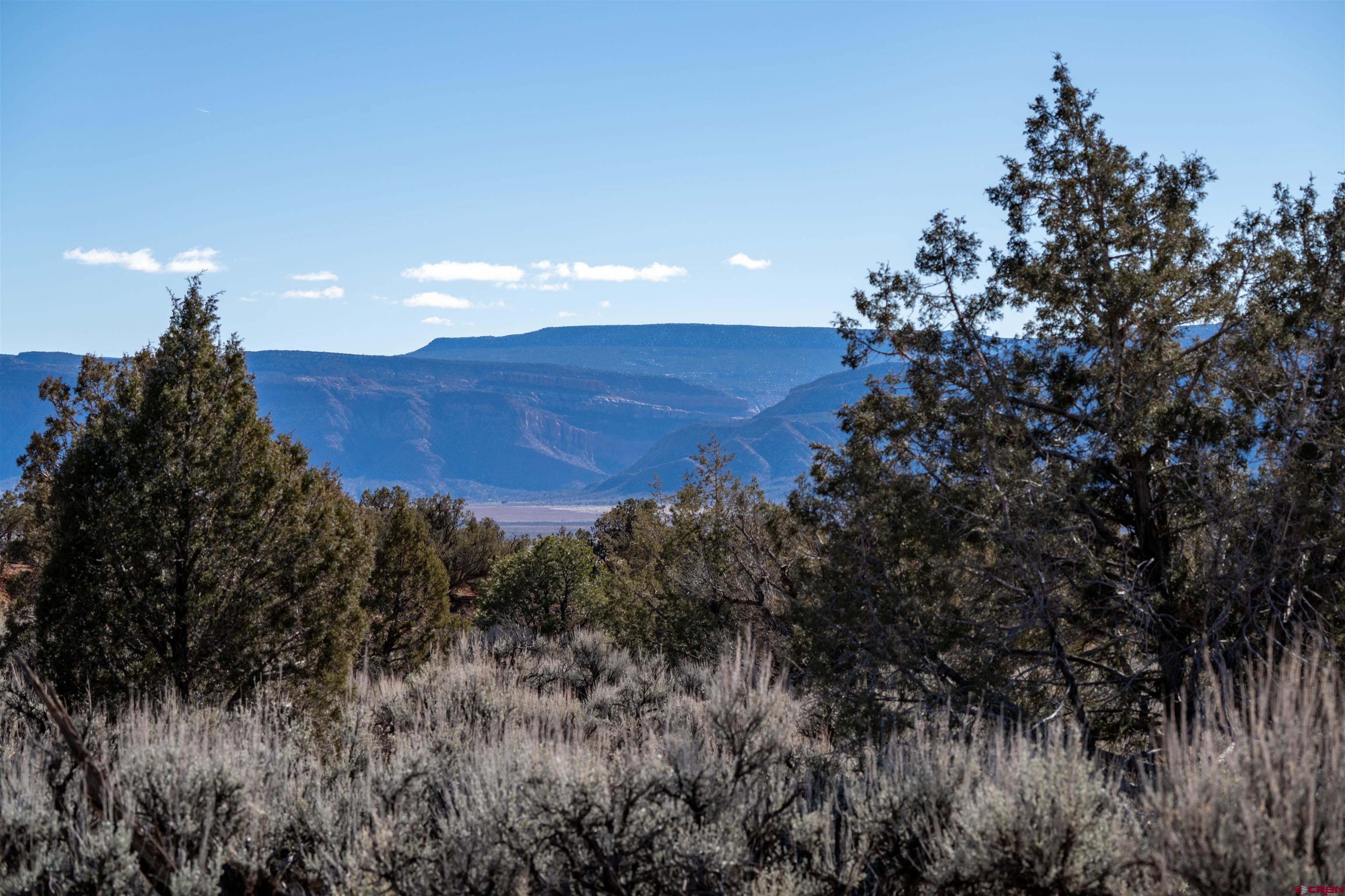 Tbd Na Road Paradox, CO 81429 - Photo 12 of 19 a view of a dry yard