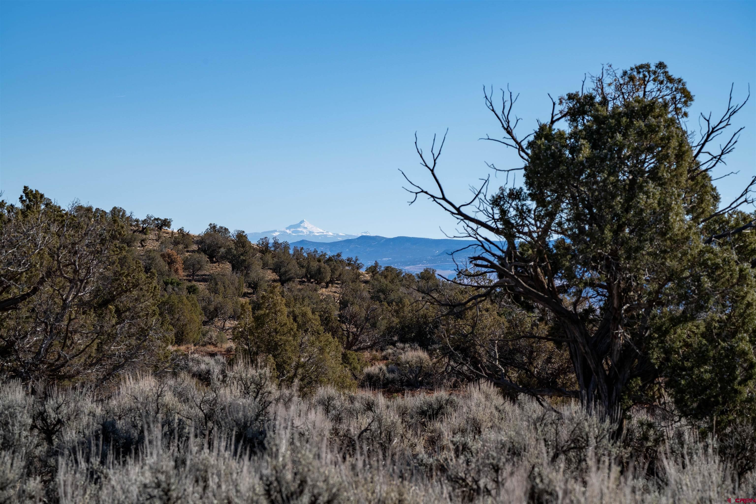 Tbd Na Road Paradox, CO 81429 - Photo 13 of 19 a view of a forest