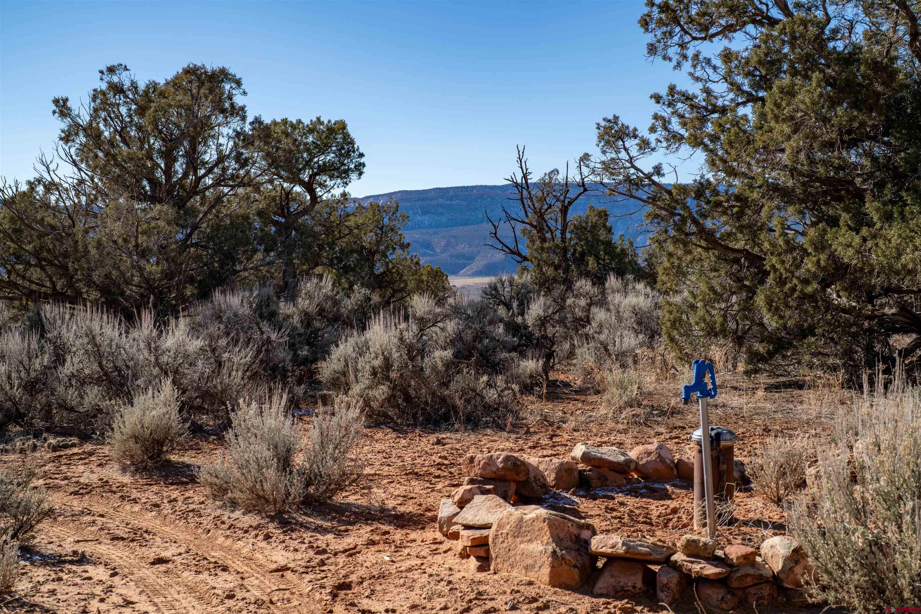 Tbd Na Road Paradox, CO 81429 - Photo 17 of 19 a view of street