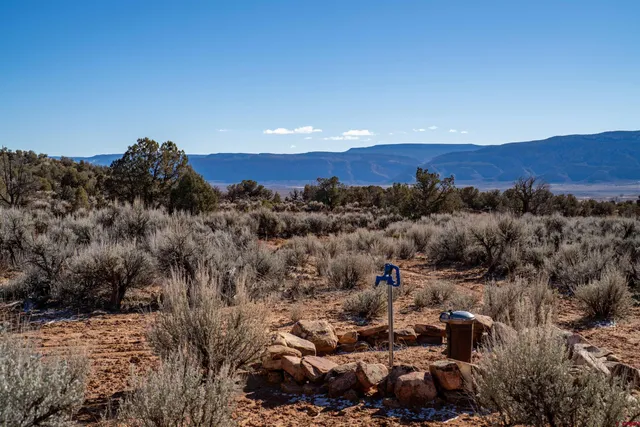 a view of a yard covered in snow