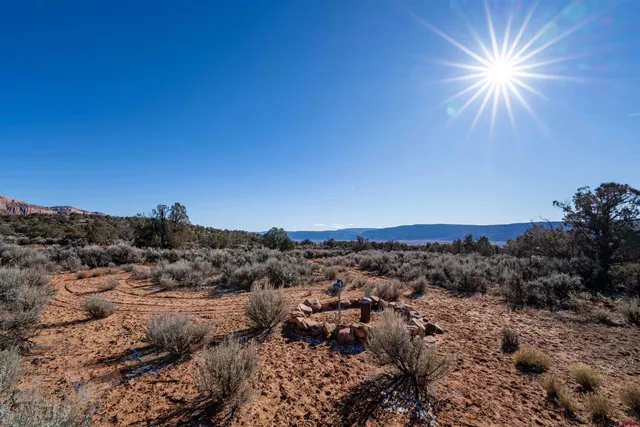 a view of a field with an ocean view