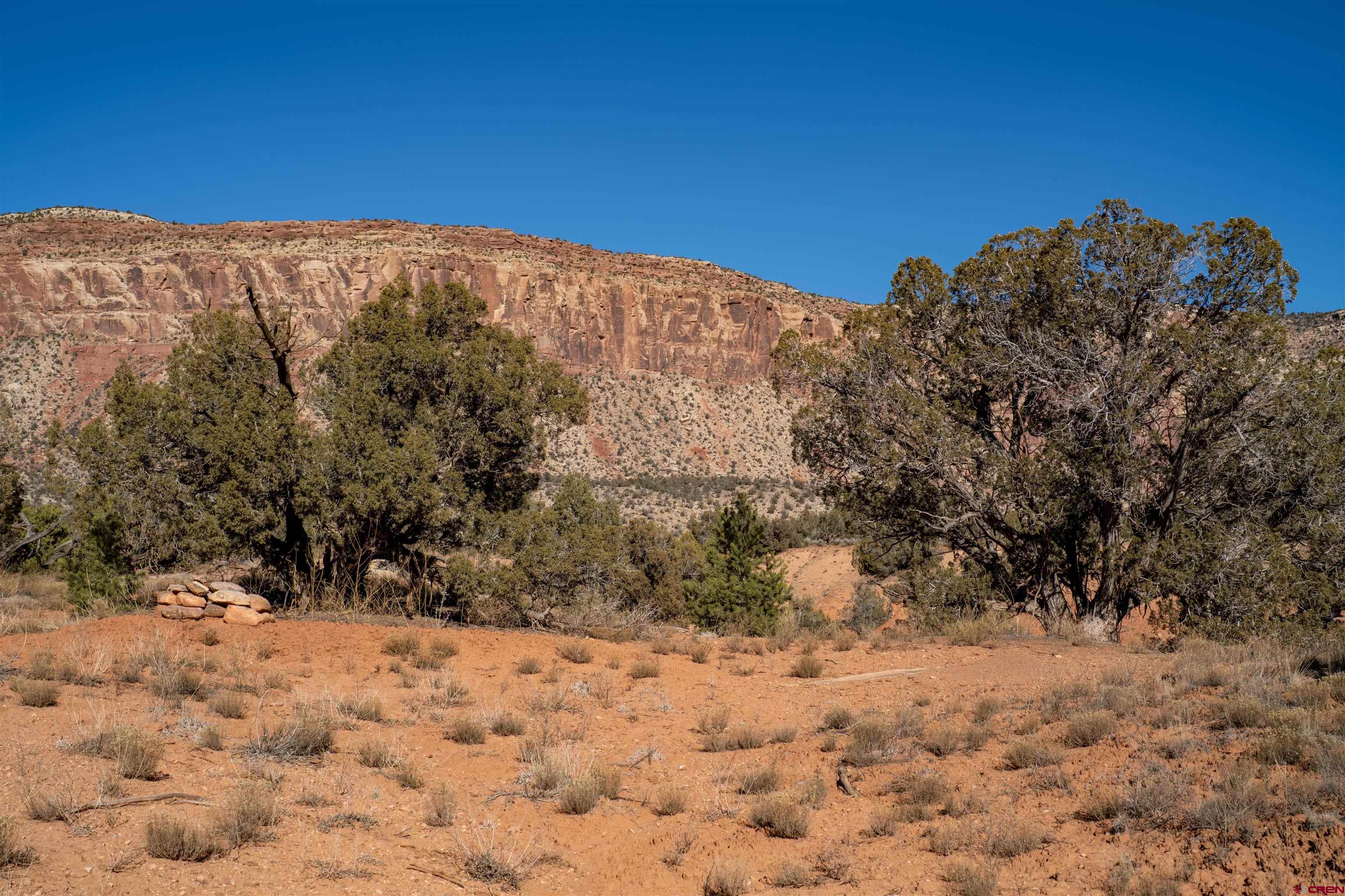 Tbd Na Road Paradox, CO 81429 - Photo 9 of 19 a view of a snow covered with snow in the background