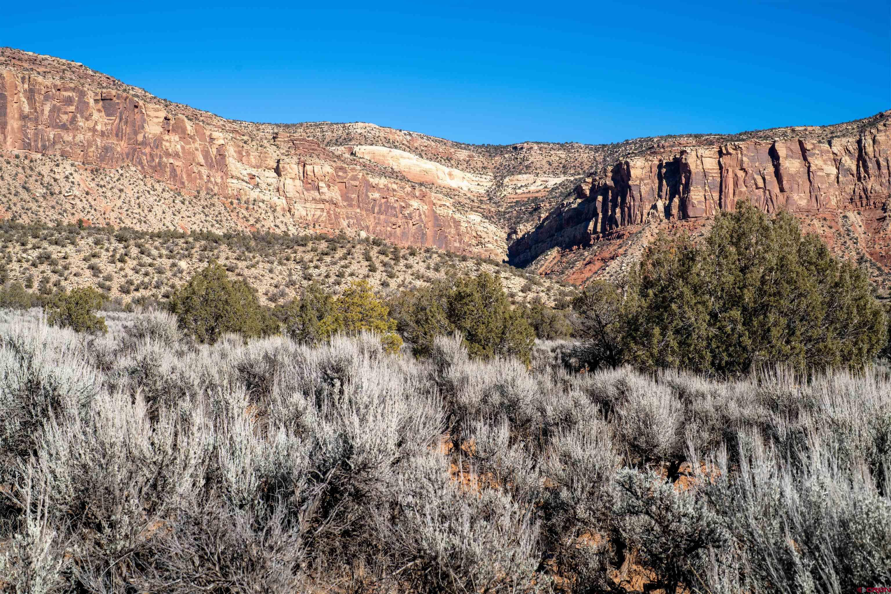 Tbd Na Road Paradox, CO 81429 - Photo 10 of 19 a view of a large building with a mountain and a forest