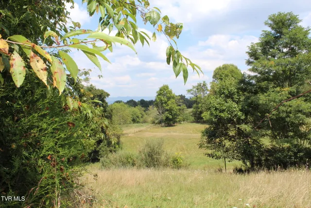 $170,000 | Tbd Chestnut Ridge Road, Chilhowie, VA 24319