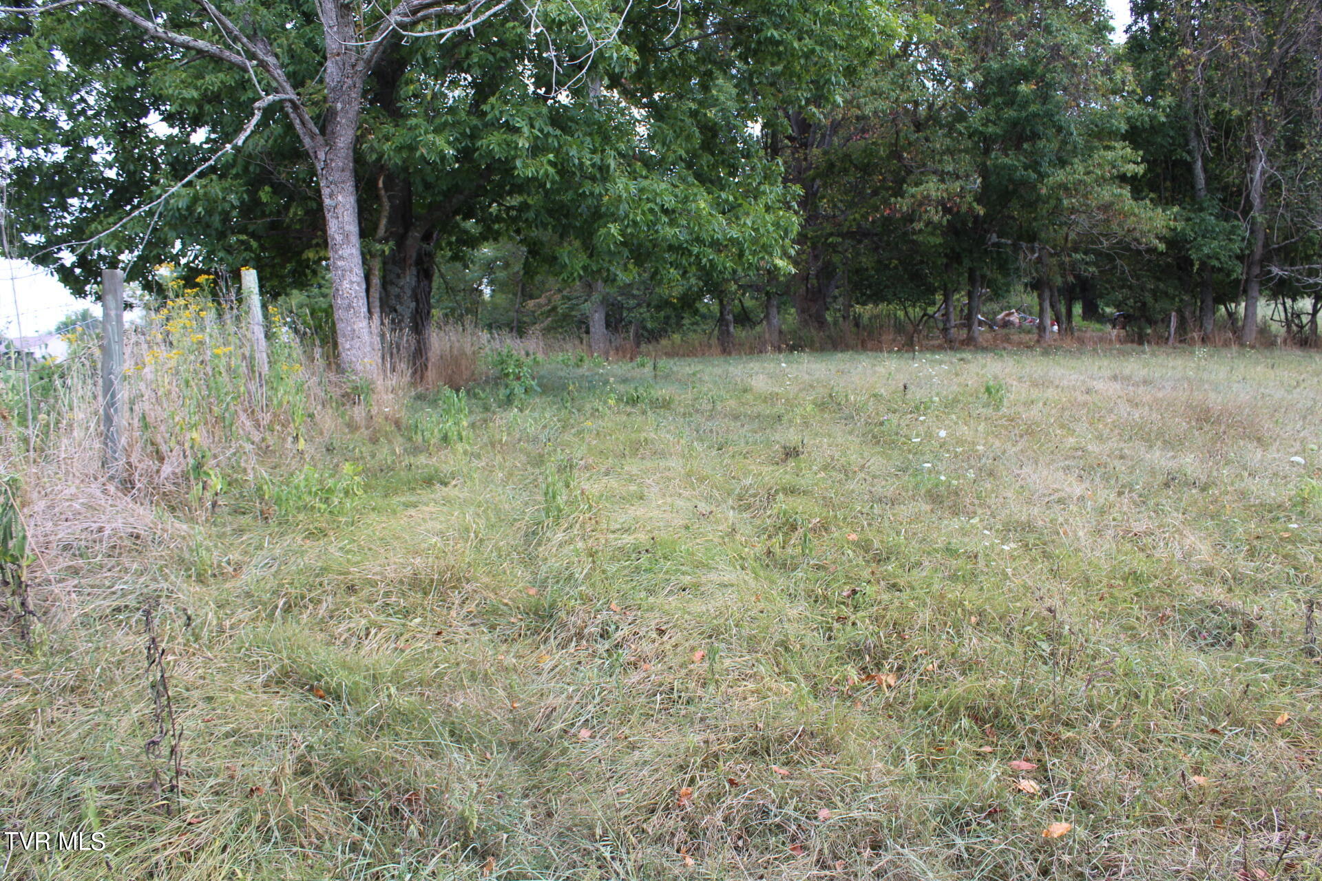 Tbd Chestnut Ridge Road Chilhowie, VA 24319 - Photo 16 of 36 IMG_2279