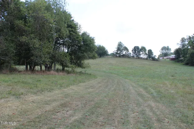 $170,000 | Tbd Chestnut Ridge Road, Chilhowie, VA 24319