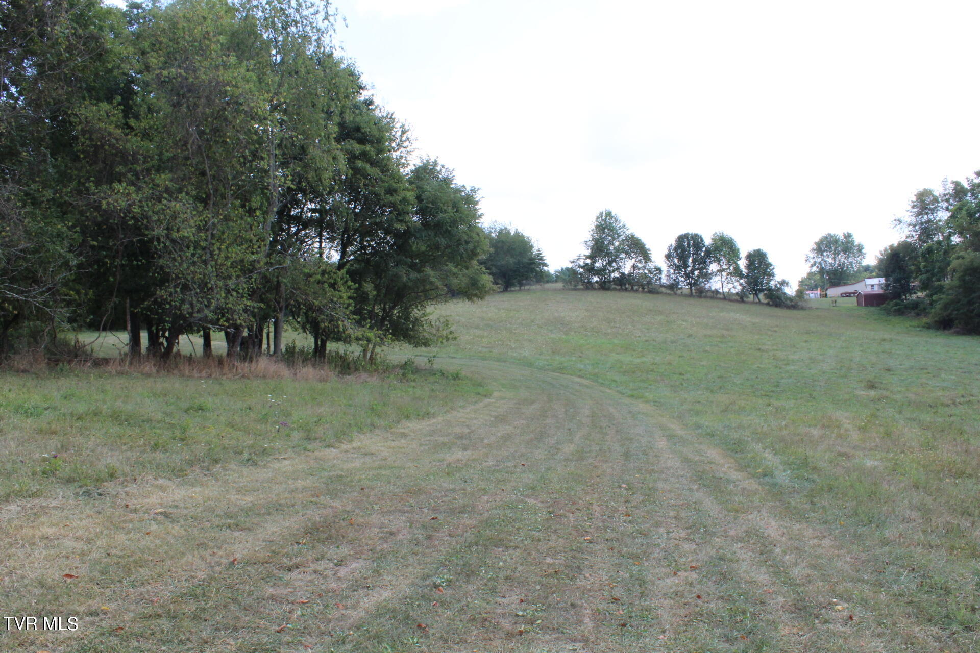 Tbd Chestnut Ridge Road Chilhowie, VA 24319 - Photo 19 of 36 IMG_2282