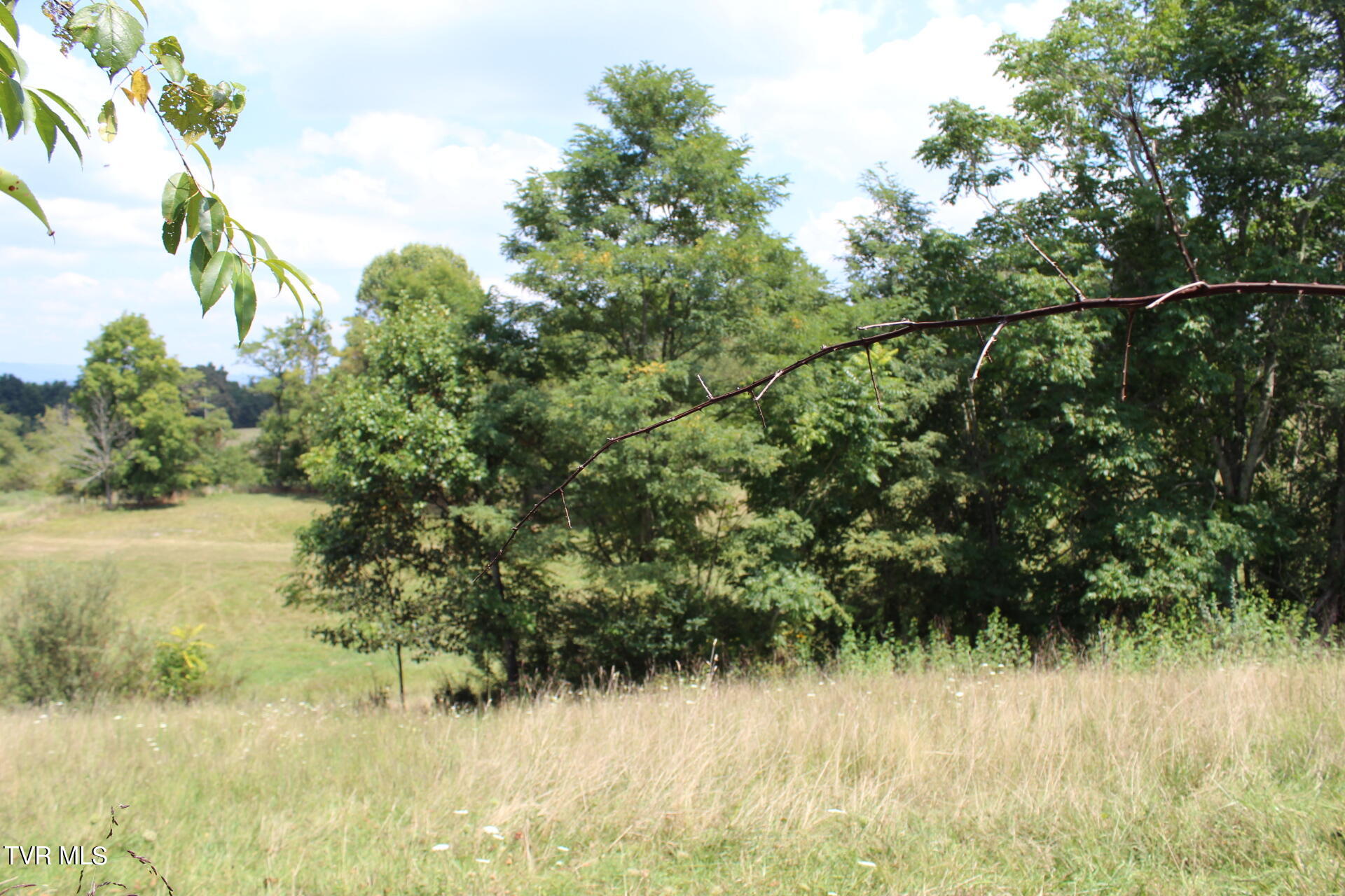 Tbd Chestnut Ridge Road Chilhowie, VA 24319 - Photo 2 of 36 IMG_2255