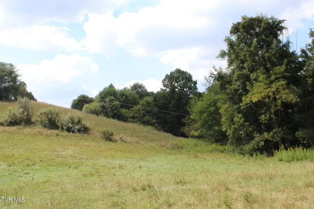 $170,000 | Tbd Chestnut Ridge Road, Chilhowie, VA 24319