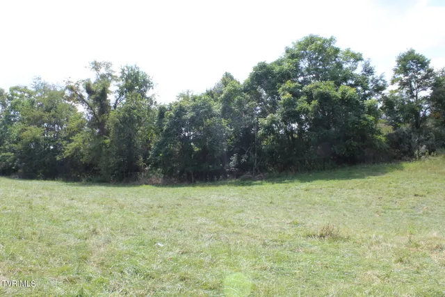 $170,000 | Tbd Chestnut Ridge Road, Chilhowie, VA 24319