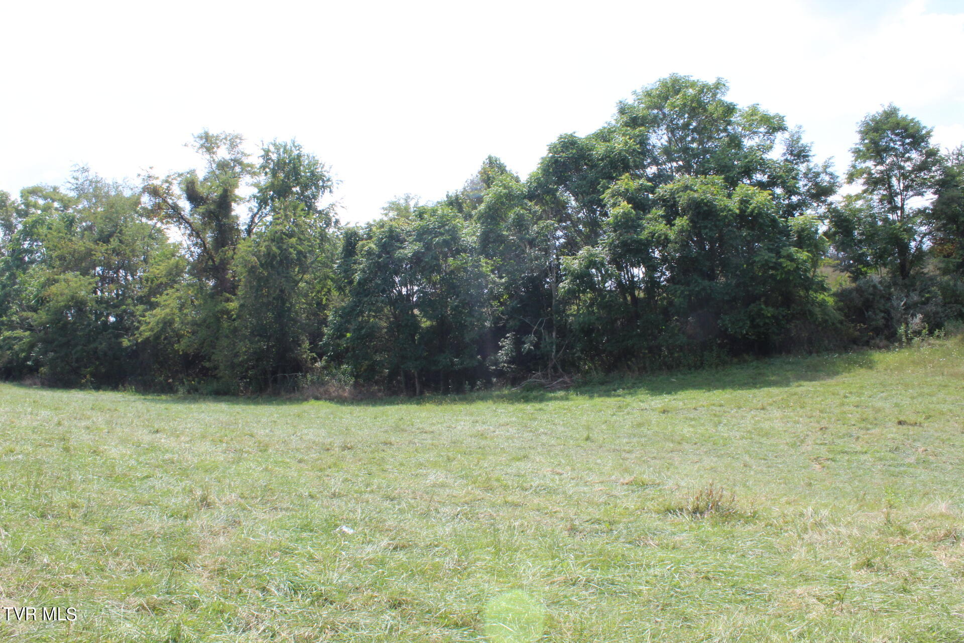 Tbd Chestnut Ridge Road Chilhowie, VA 24319 - Photo 23 of 36 IMG_2286