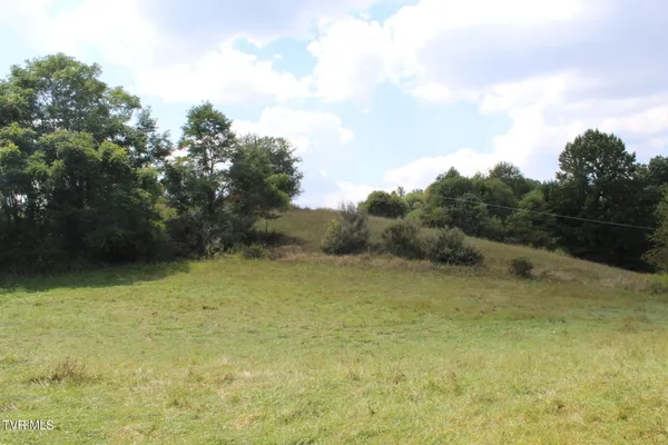 $170,000 | Tbd Chestnut Ridge Road, Chilhowie, VA 24319