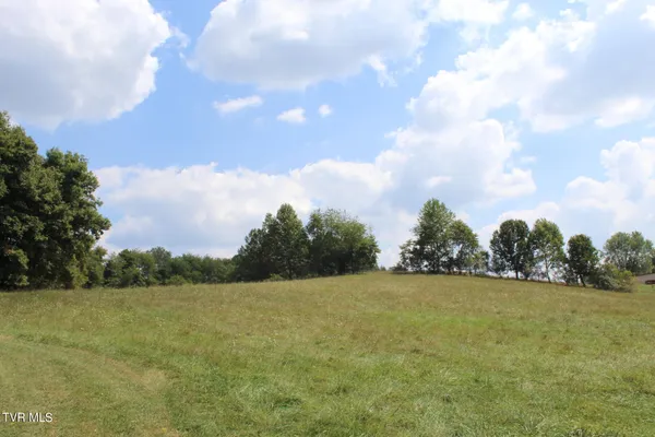 $170,000 | Tbd Chestnut Ridge Road, Chilhowie, VA 24319