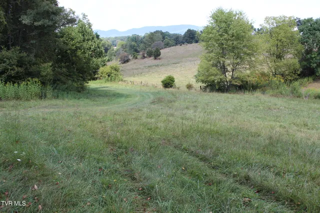 $170,000 | Tbd Chestnut Ridge Road, Chilhowie, VA 24319