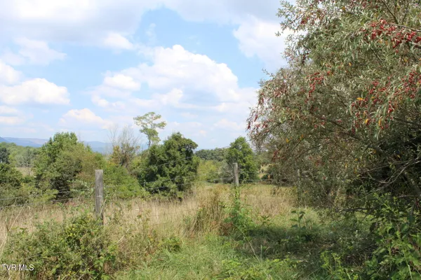 $170,000 | Tbd Chestnut Ridge Road, Chilhowie, VA 24319