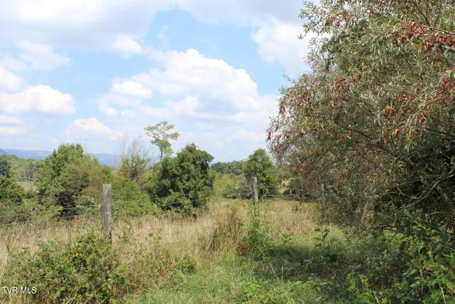 $170,000 | Tbd Chestnut Ridge Road, Chilhowie, VA 24319