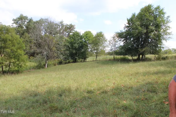 $170,000 | Tbd Chestnut Ridge Road, Chilhowie, VA 24319
