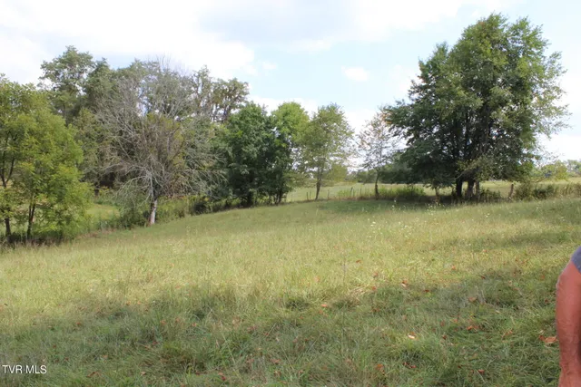 $170,000 | Tbd Chestnut Ridge Road, Chilhowie, VA 24319