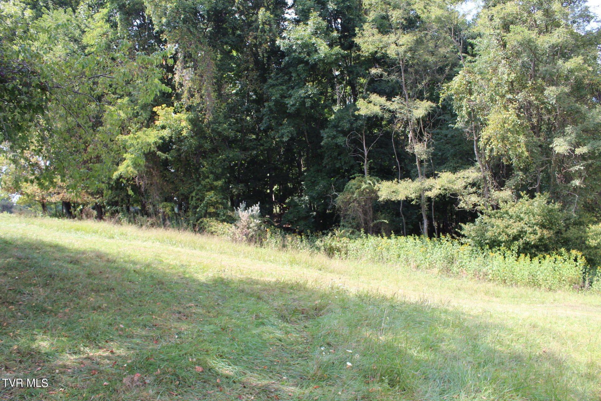 Tbd Chestnut Ridge Road Chilhowie, VA 24319 - Photo 32 of 36 IMG_2296