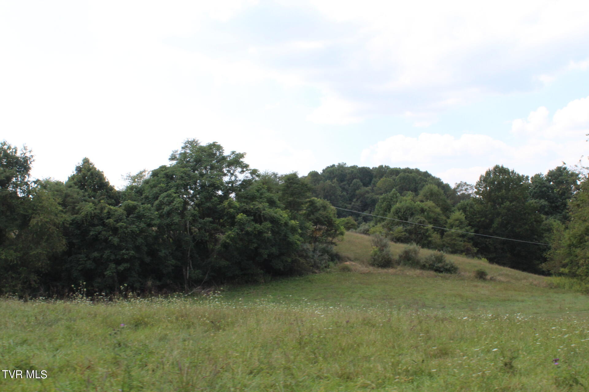 Tbd Chestnut Ridge Road Chilhowie, VA 24319 - Photo 34 of 36 IMG_2303