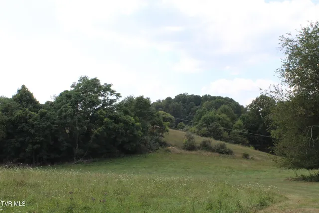 $170,000 | Tbd Chestnut Ridge Road, Chilhowie, VA 24319