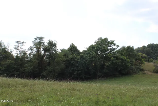 $170,000 | Tbd Chestnut Ridge Road, Chilhowie, VA 24319