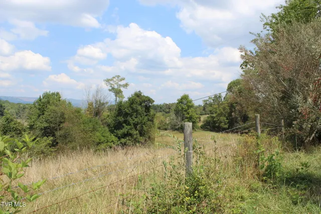 $170,000 | Tbd Chestnut Ridge Road, Chilhowie, VA 24319