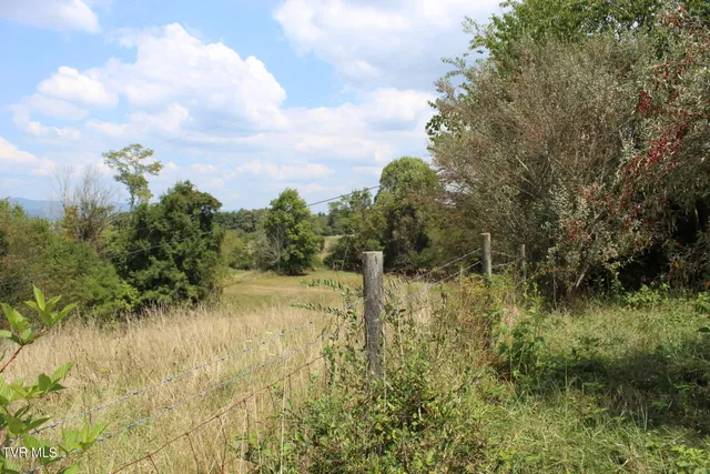 $170,000 | Tbd Chestnut Ridge Road, Chilhowie, VA 24319