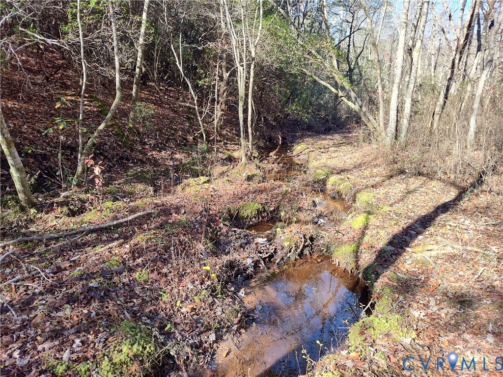 108.5-ac Buzzards Neck Road Lancaster, VA 22503 - Photo 39 of 50